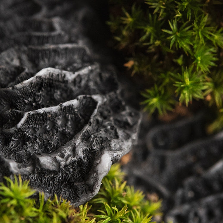 Simple Scents Black Coral and Moss Candle Fragrance