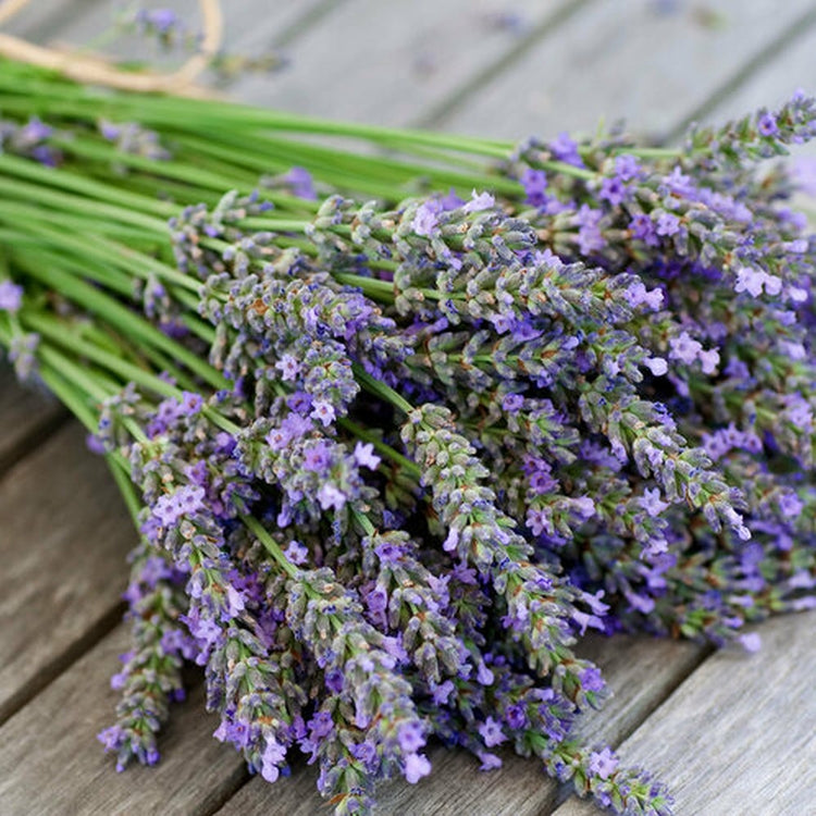 Simple Scents Lavender Candle Fragrance