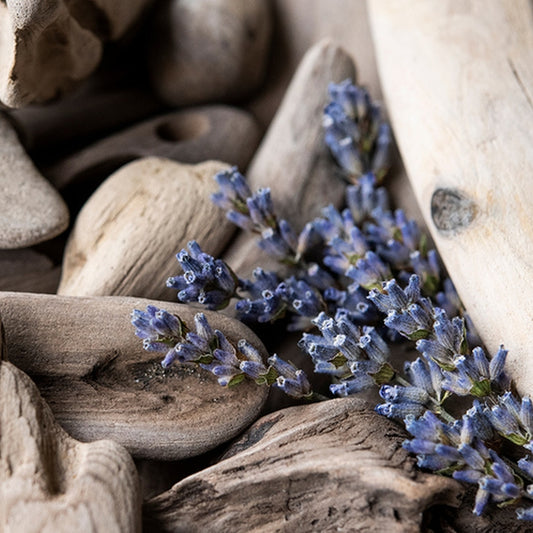 Simple Scents Lavender Driftwood Candle Fragrance